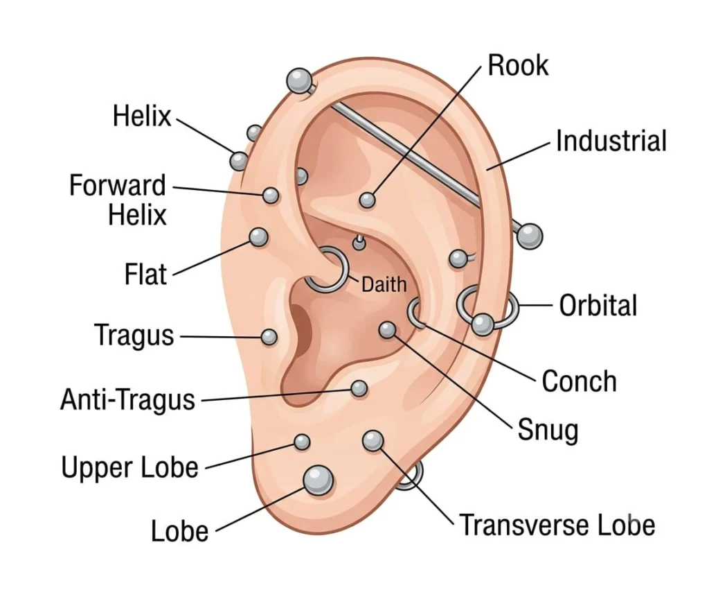 Ear Piercing Chart: Types, Pain Levels, Healing Time & Placement Guide 6 ear piercieng chart 1
